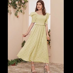 Sheer Puff Sleeve Shirred Detail Lace Flare Dress